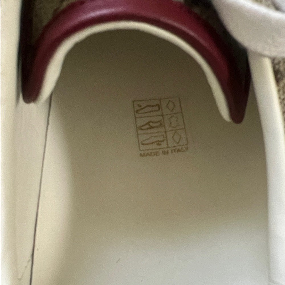 Gucci Green Sneakers - Picture 7 of 9